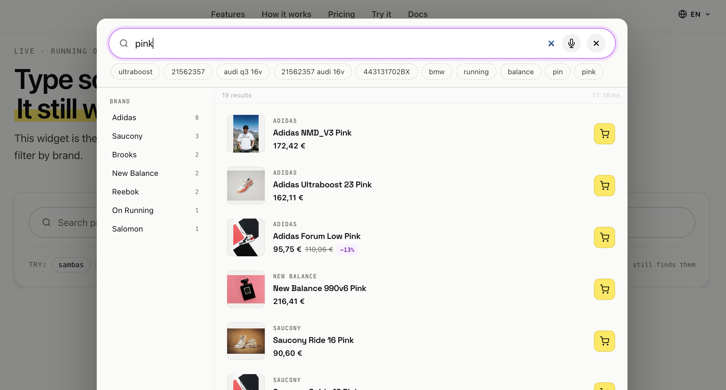 SoloSearch widget in a shop